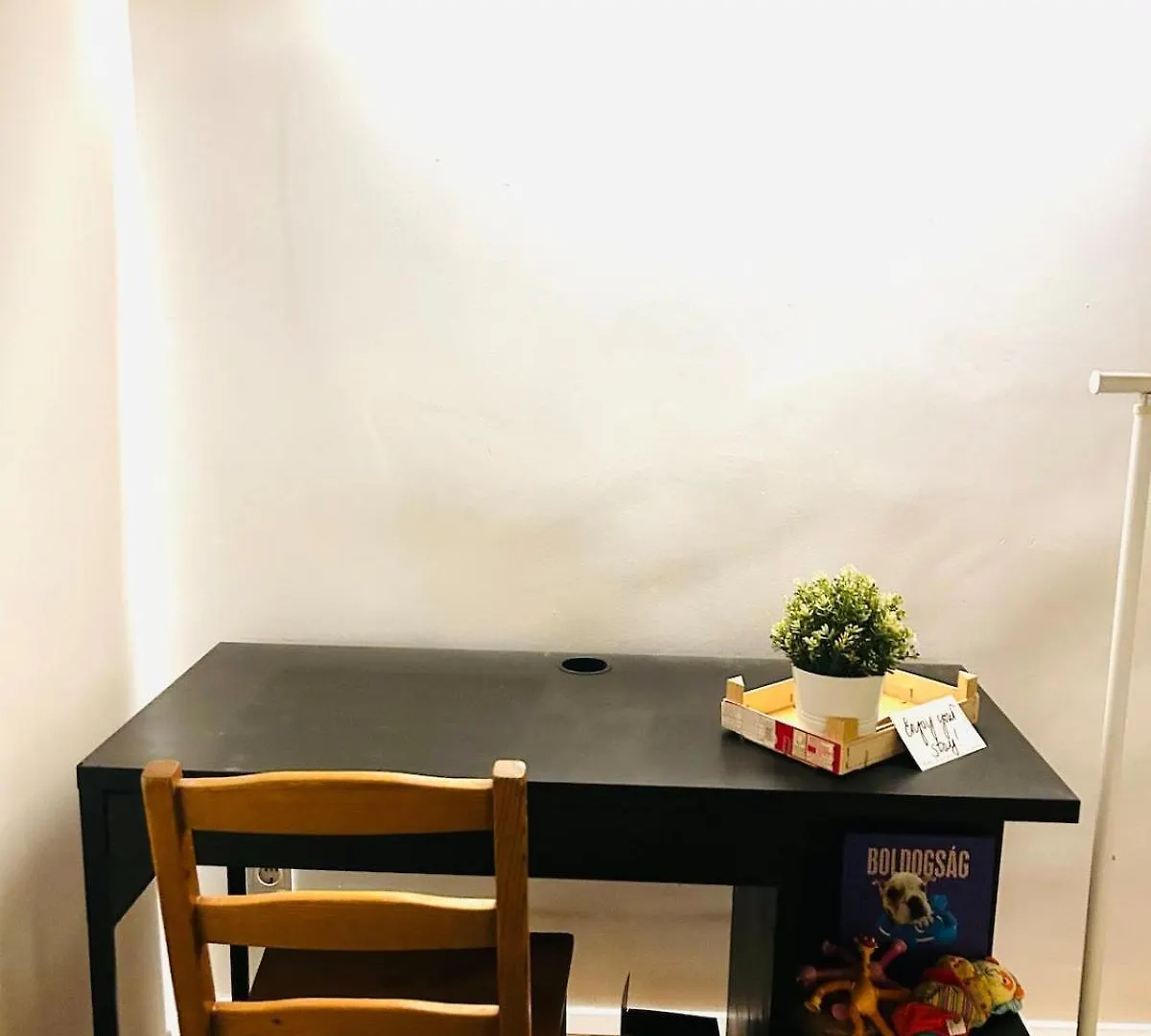 Apartment New! Heritage Heaven In The City Center Budapest Hungary